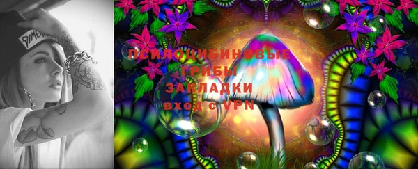 мескалин Дмитровск