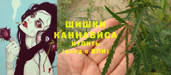 jwh Гусев