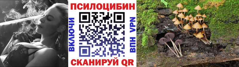 Галлюциногенные грибы Psilocybine cubensis  где продают наркотики  Кондрово 